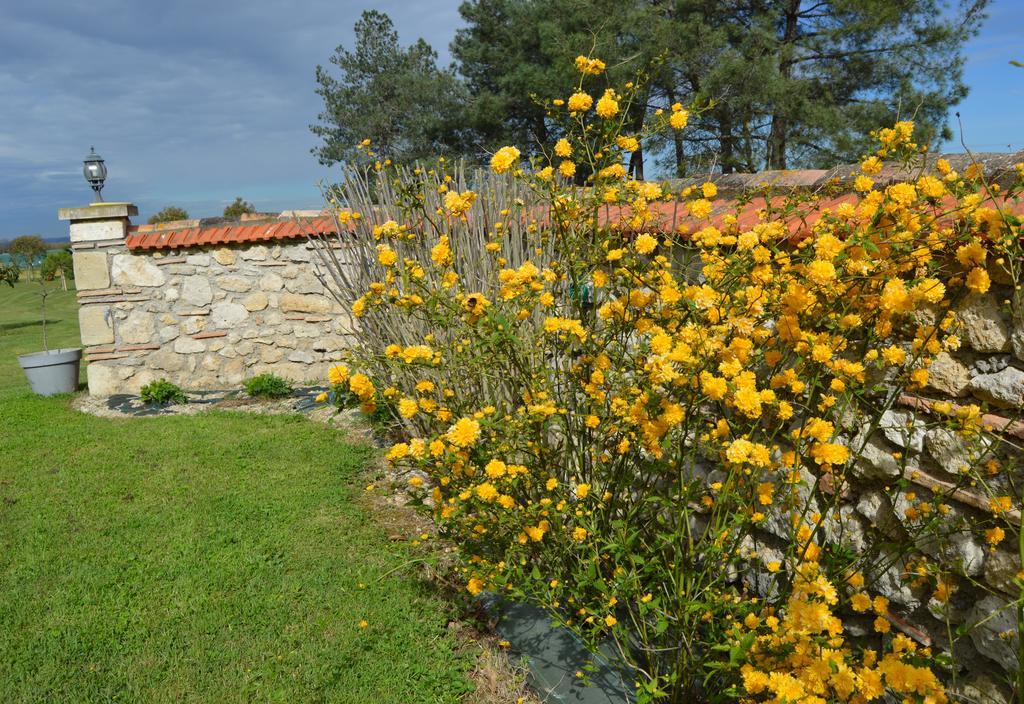 Le Coteau De Bazeille Sauna&Detente Sas Sainte-Bazeille Exteriör bild