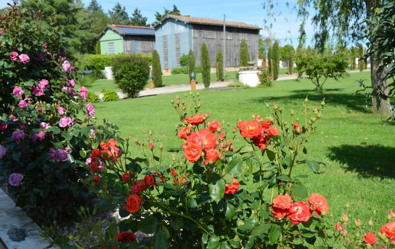Le Coteau De Bazeille Sauna&Detente Sas Sainte-Bazeille Exteriör bild