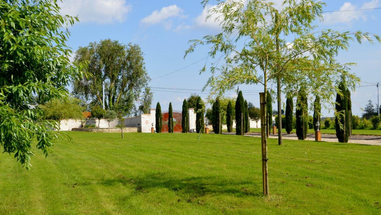 Le Coteau De Bazeille Sauna&Detente Sas Sainte-Bazeille Exteriör bild
